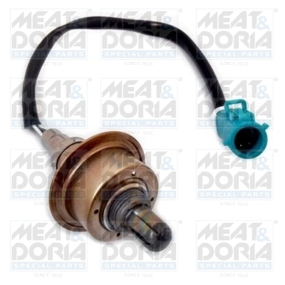 Oxygen Sensor